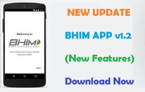 New Bhim App v1.2 Free Download