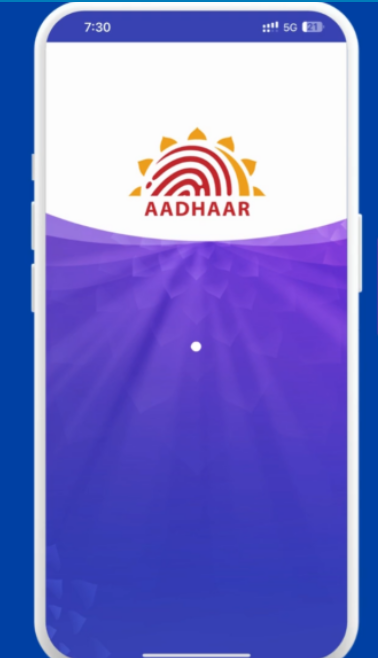 Aadhaar biometric unlock online